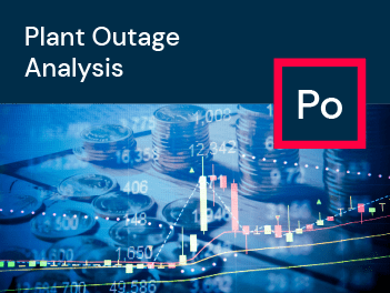 Plant outage analysis