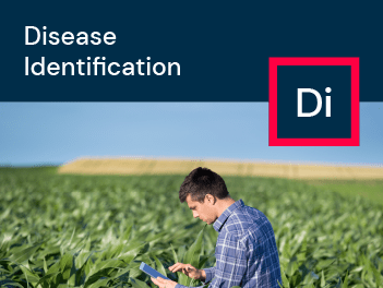 Disease identification