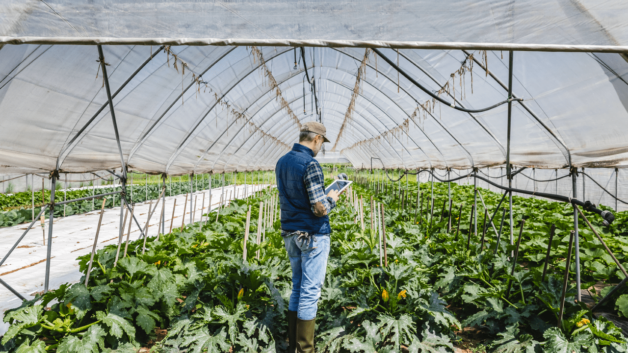 Technological innovation in food and agriculture