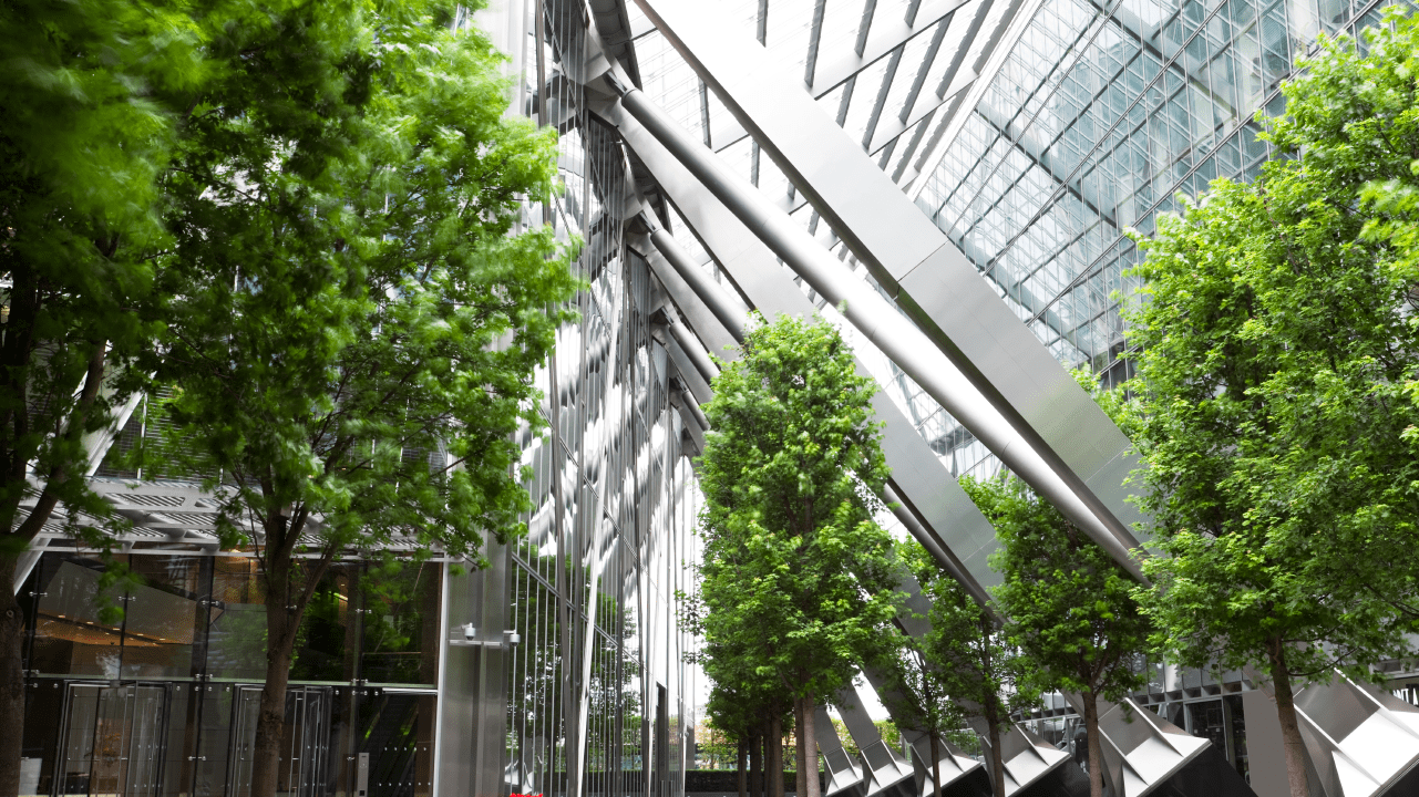 Creating a carbon neutral future with sustainability and ESG reporting