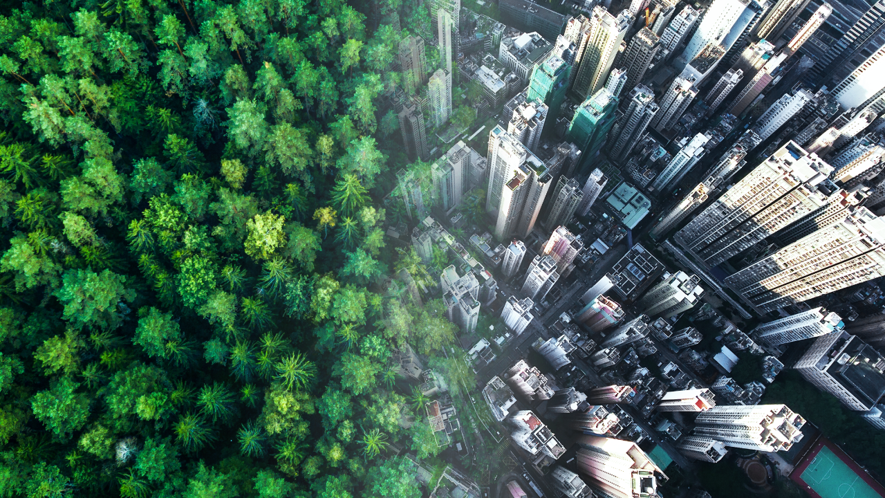 Sustainability frameworks 101