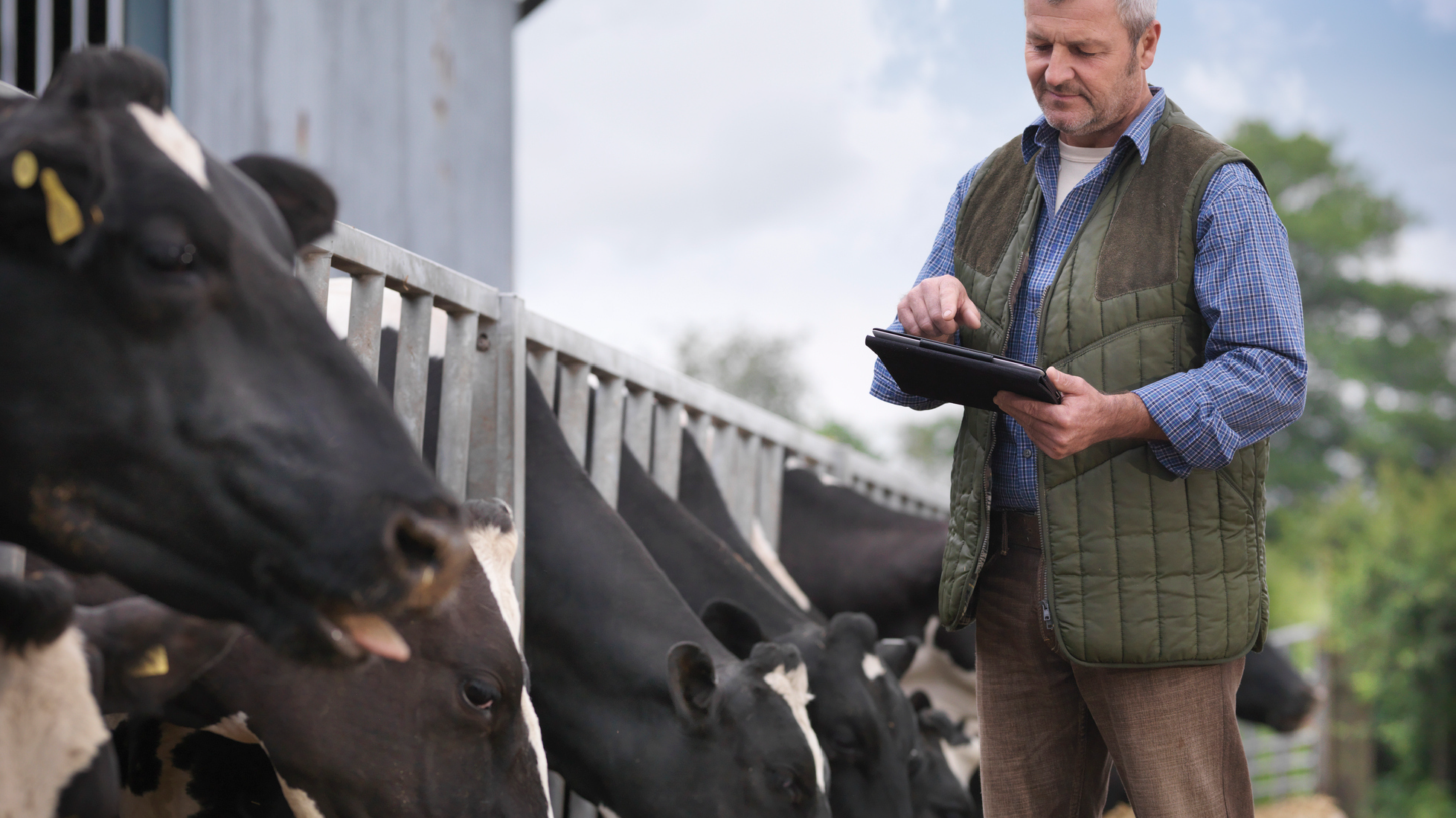 Tailored for the Dairy industry : Eka source to pay for direct materials