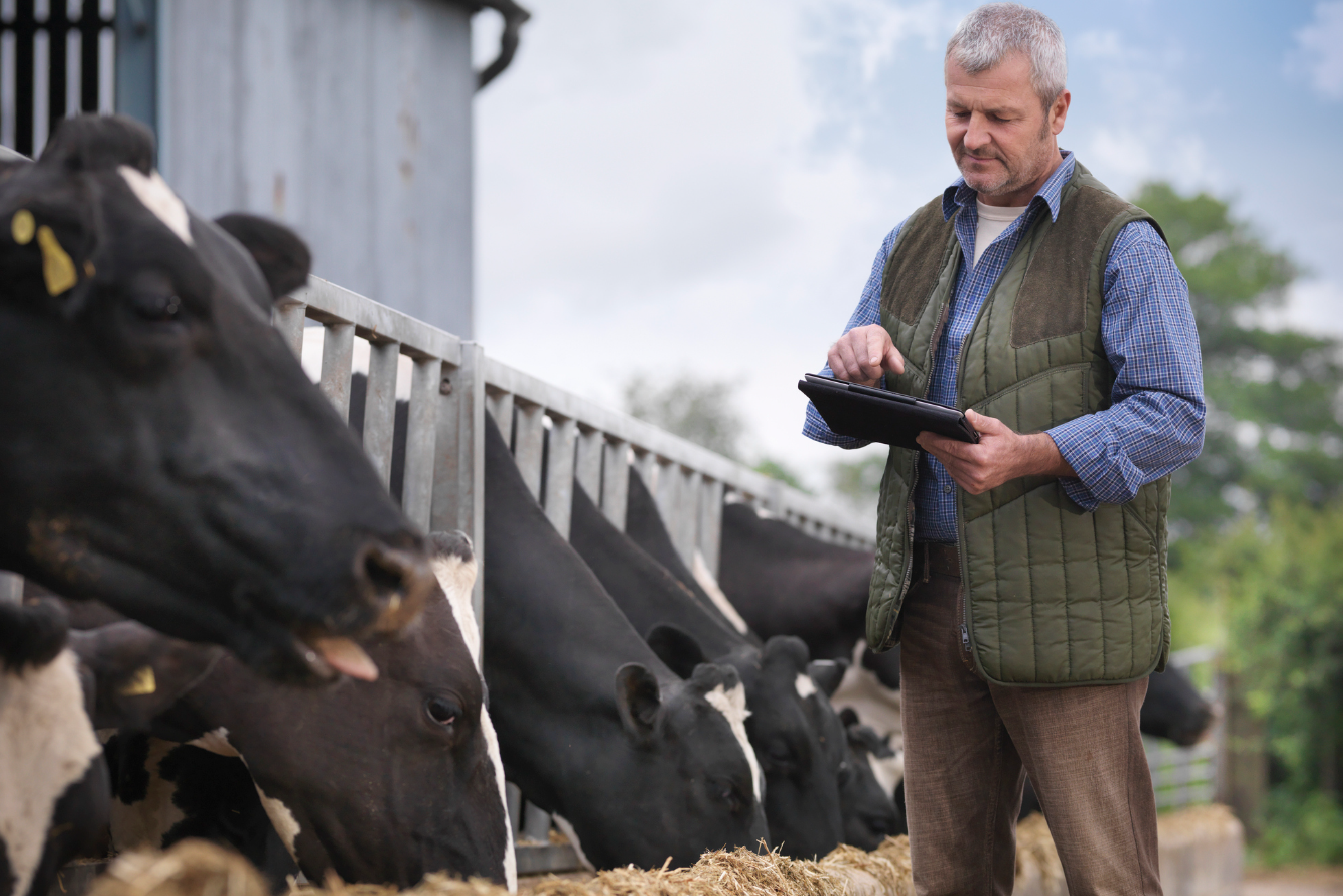 Tailored for the Dairy industry : Eka source to pay for direct materials