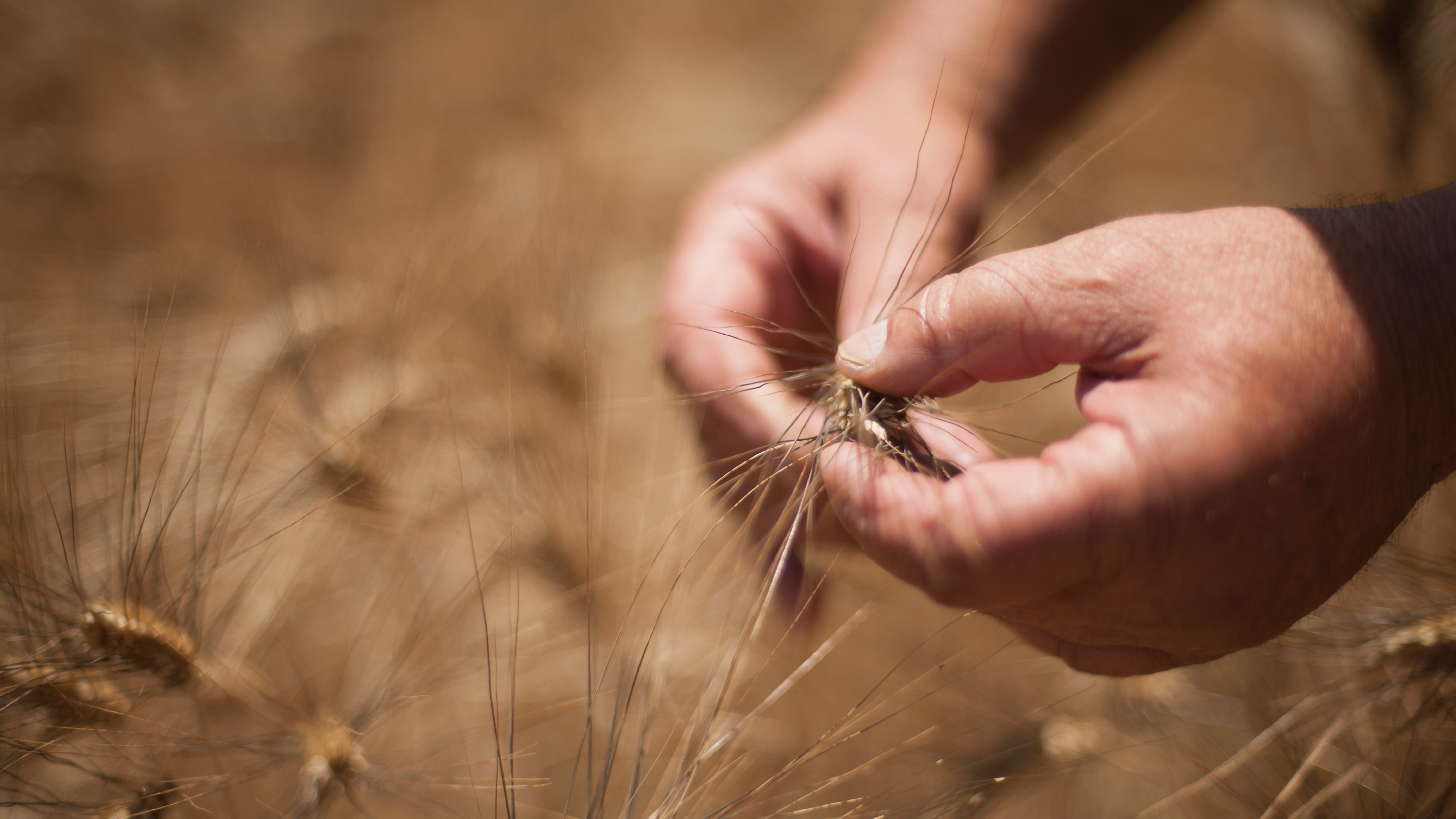 Australian grain leader implements Eka ahead of bumper crop season