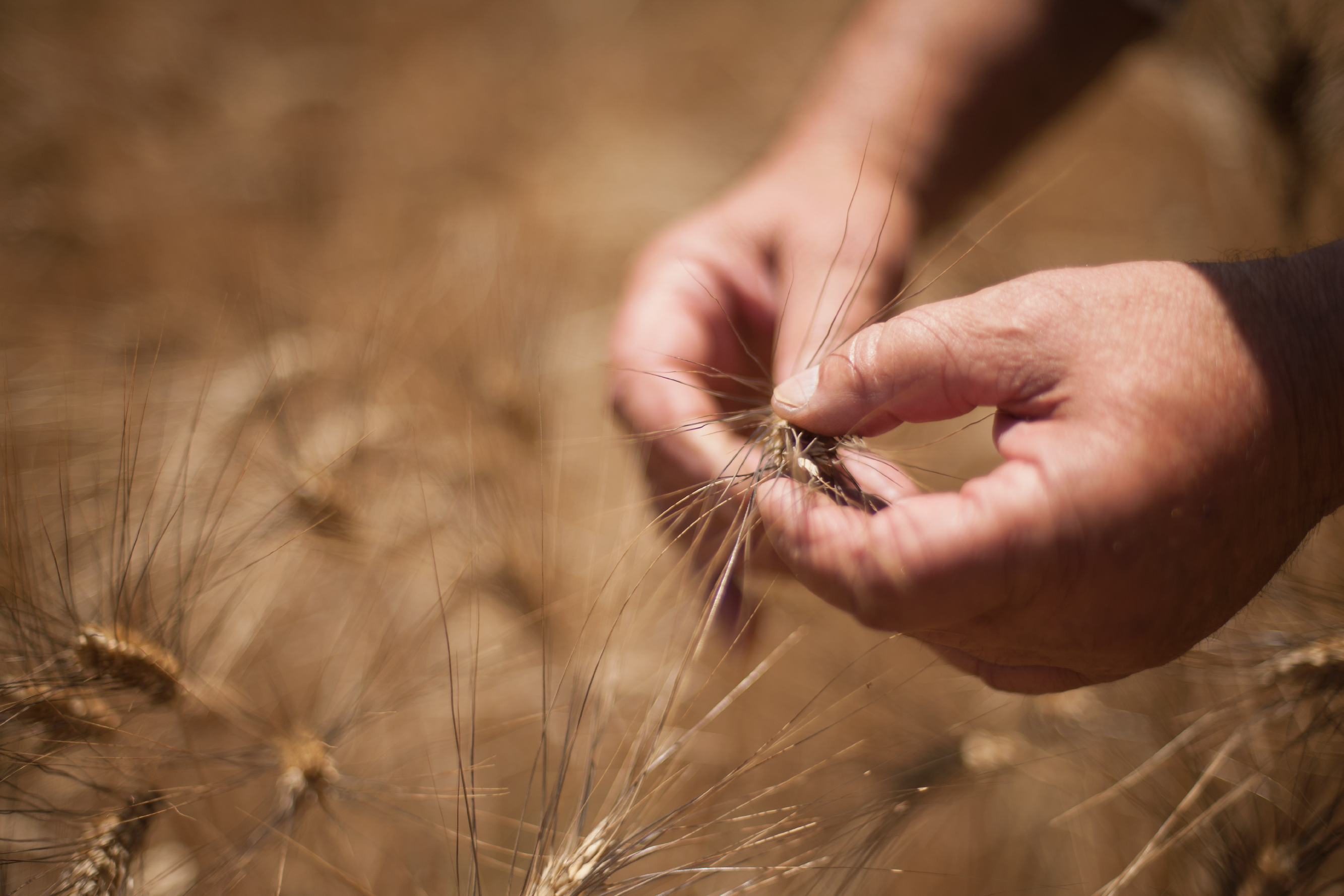 Australian grain leader implements Eka ahead of bumper crop season