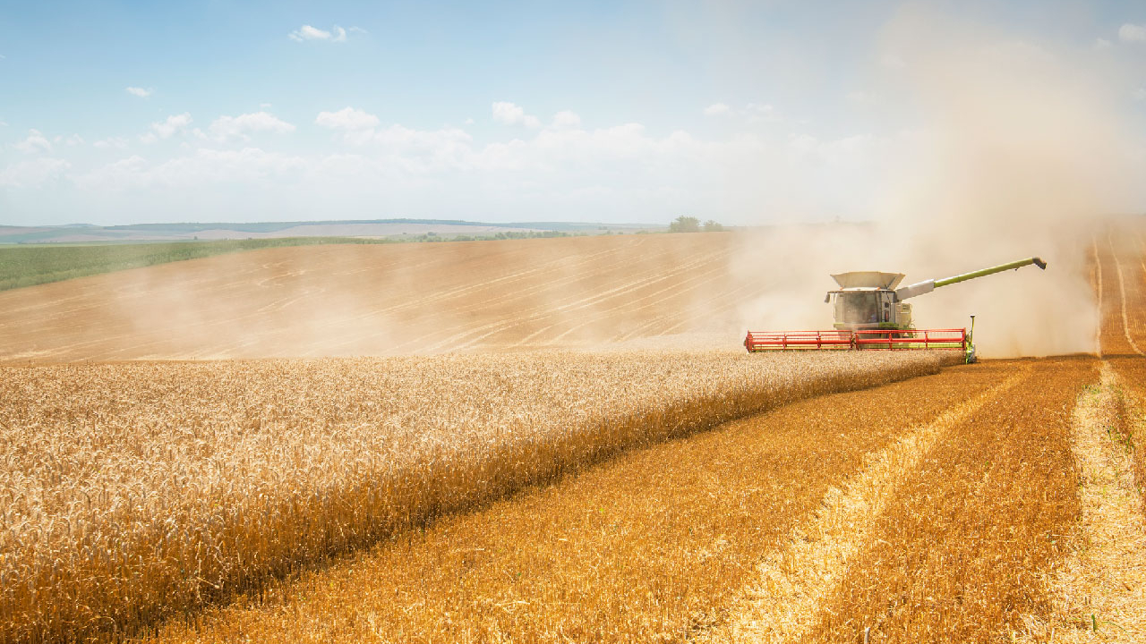 Navigating hurdles in agribusiness and commodity trading