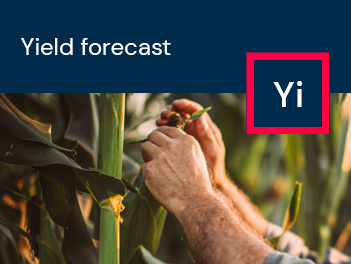 yield forecast