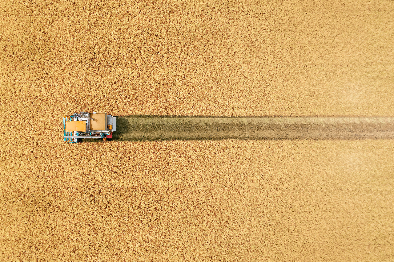 Leading grain business gains a unified view of their vast trading and risk management operations